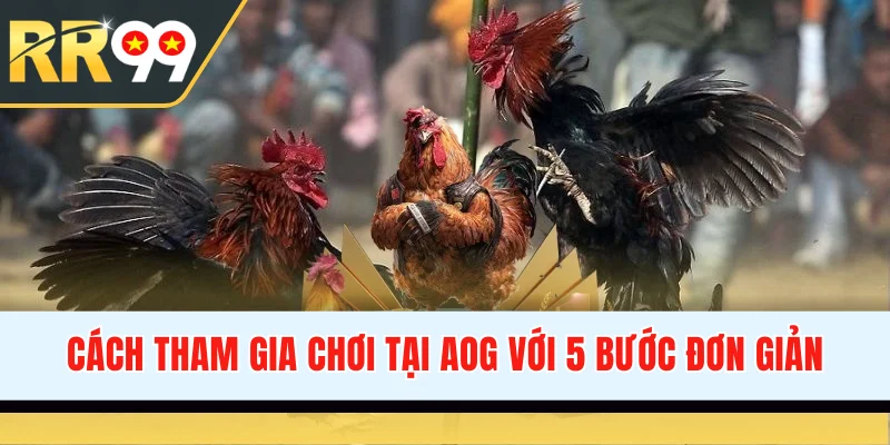 Cách tham gia chơi tại AOG với 5 bước đơn giản