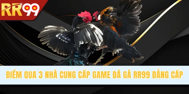 Điểm qua 3 nhà cung cấp game đá gà RR99 đẳng cấp