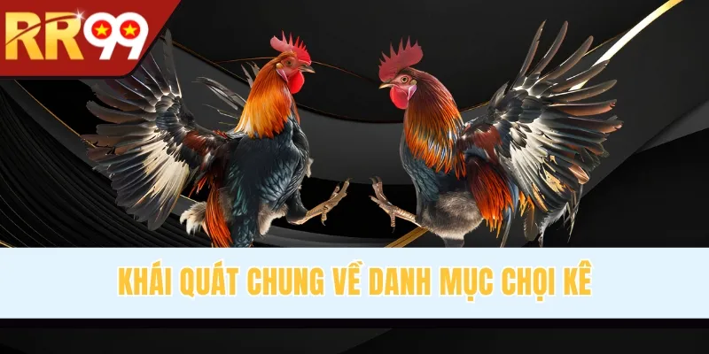 Khái quát chung về danh mục chọi kê