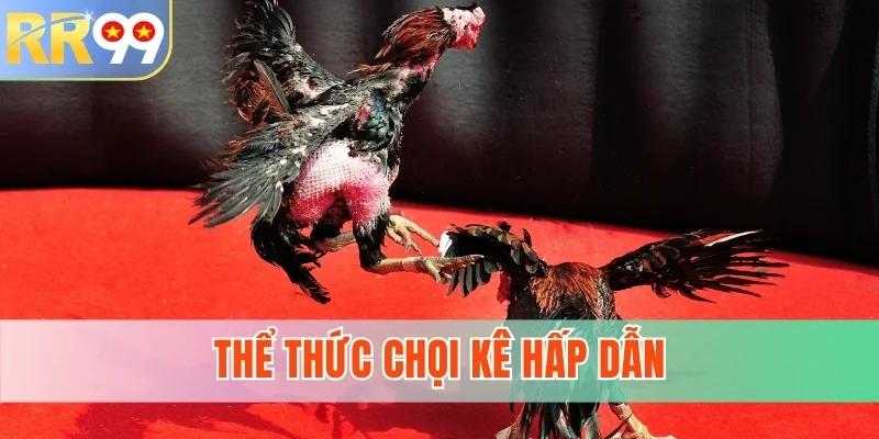 Thể thức chọi kê hấp dẫn